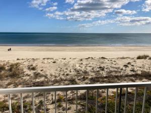 Superbe Studio Rénové les pieds dans leau!