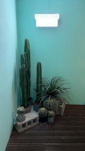 Hostel Mihojae Seomyeon