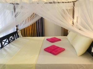 Coral Palm Villa and Apartment