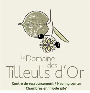 domaine des tilleuls d'or - 锡亚涅河畔圣塞宰尔