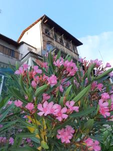 Le Case di Angelina - Langhe Loft & Suites