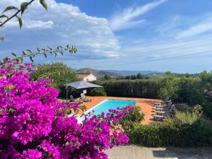 Villas U Paradisu - Villa 10/12 pers avec piscine privee : photos des chambres