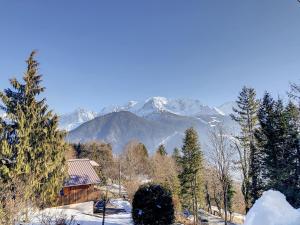 Appartements Mont Alt, F2 40m2 en rdc, calme, Vue Mt Blanc : photos des chambres