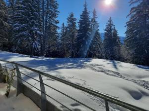 Appartements La Petite Foret Chamrousse 1700 : photos des chambres