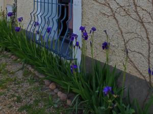 Maisons d'hotes NOSTAL'GITE : photos des chambres