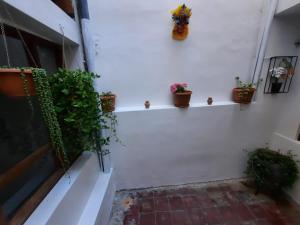 Departamento INCA PALACE EXPERIENCE