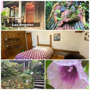 Cabañas Aldea San Francisco de Asís