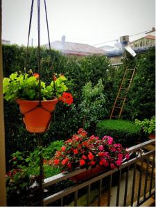 The Traditional Greek House