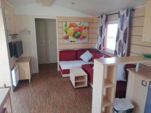 Grand Mobil home 3chbr 2sdb camping La Carabasse