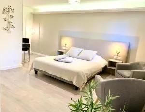 L'appart des Tanneurs - Metz