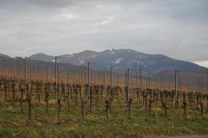 Ferienwohnung Castellberg