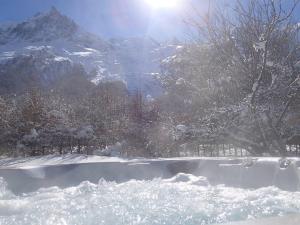 Luxury Spacious Chalet in Chamonix