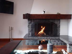 Luxury Spacious Chalet in Chamonix