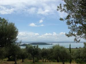 One-Bedroom Apartment with Garden View