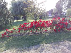 Les ROSEAUX A la Campagne au centre des chateaux de la Loire