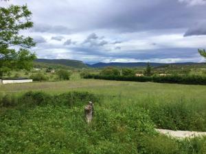 Maisons de vacances Maison de 2 chambres avec jardin clos a Brissac : photos des chambres