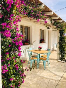 Domus Deiana Case Vacanza