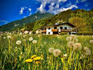Ferienwohnung Thanner