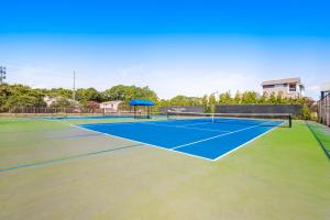 Sea Colony - 54049 Seashell