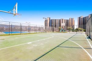 Sea Colony - 54049 Seashell