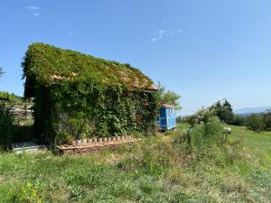 Chalets La roulotte et la cabane de la colline seive : photos des chambres