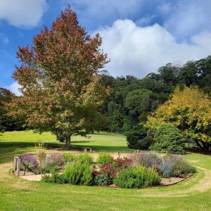 The Drawing Rooms of Berry