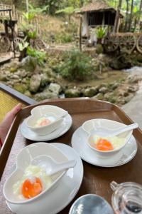 Fig Tree Hills Resort (花果山度假村)