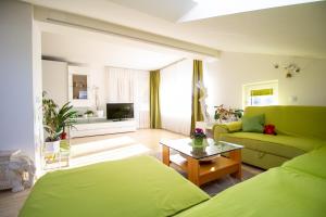 Garden Apartments Janša
