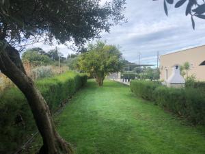 Ginepro family img22