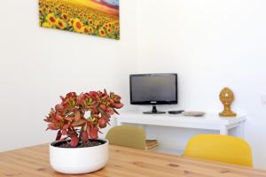 Casa Barca - Le chiavi degli Iblei