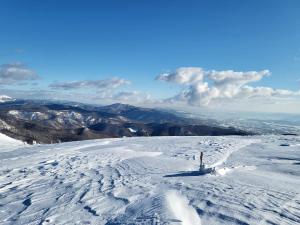 Pensiunea Mountain Pearl