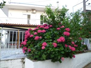 Galini Nisos-Samothraki Greece