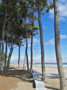 Apartamento 1a línea playa La Pineda y 5 min Port Aventura