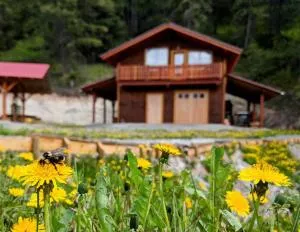 Tschurtschenthaler Rentals - Parson