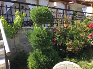 Casa dei fiori