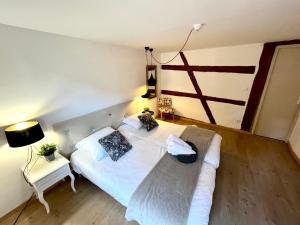 Appartements Au pied des remparts a Eguisheim : photos des chambres