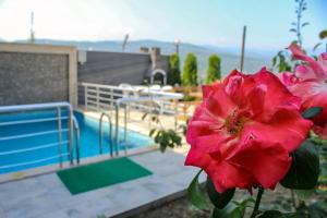 Villa with Private Pool room in Sawsana Villalari
