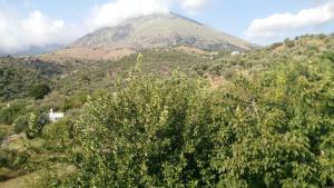 Filoxenia Rooms Nisos-Samothraki Greece