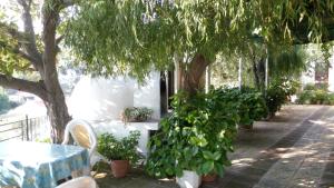 Filoxenia Rooms Nisos-Samothraki Greece