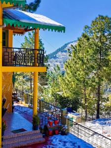 THEHIMALAYANLIVING WHISTLING PINES