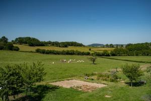 Maisons de vacances Domaine Les Reprilles**** : photos des chambres