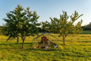 Maisons de vacances Domaine Les Reprilles**** : photos des chambres