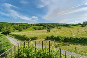 Maisons de vacances Domaine Les Reprilles**** : photos des chambres