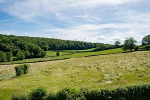 Maisons de vacances Domaine Les Reprilles**** : photos des chambres