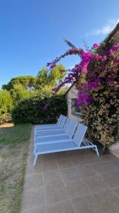 Villas Villa 180 m2 vue Mer Piscine Climatisee Grand jardin 5000 m2 cloture Calme : photos des chambres