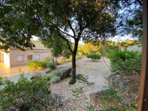 Villas Villa 180 m2 vue Mer Piscine Climatisee Grand jardin 5000 m2 cloture Calme : photos des chambres