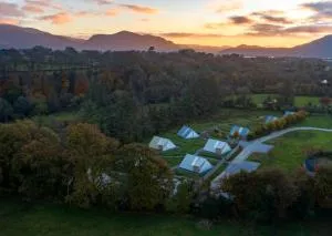 Killarney Glamping at the Grove, Suites and Lodges - Woodford