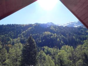 Appartements Apartment Pierres Blanches F et H-20 by Interhome : photos des chambres