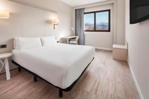 Double Room with Mountain View room in B&B Hotel Granada Estacion