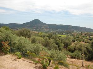 Apartment Is Murtas-5 by Interhome img27